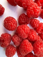 Red raspberries on white background with space for copy