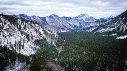 Obraz premium Beautiful Austrian Alps in winter, traditional houses and lake. Woods in winter.
