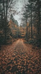 Obraz premium Serene Autumn Pathway Through Colorful Forest with Falling Leaves