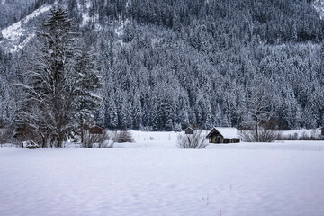 view of snowy village in German Fussen winter sunlight