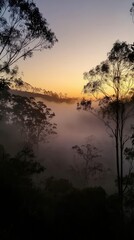 Fototapeta premium Misty Sunrise Over Lush Green Forest in Beautiful Nature Scene