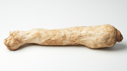 Single, unpeeled parsnip root vegetable on white background.