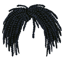 trendy african long  hair black braids . 
realistic  3d . fashion beauty style .hairstyle wig

