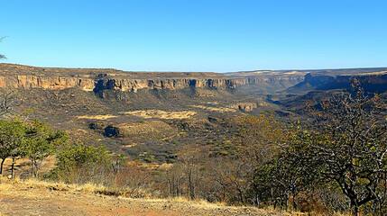 Naklejka premium Scenic African Canyon vista, dry scrubland, distant cliff face, sunny day.