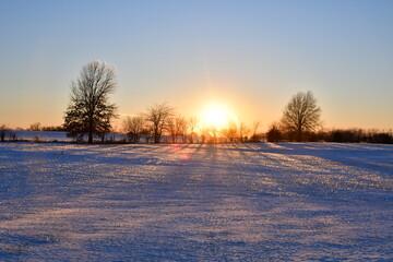 Sunset Over Trees in a Snowy Field