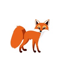 red fox vulpes