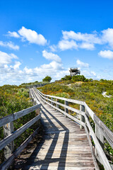 Fototapeta premium Boardwalk leading up to an observation tower at Jonathan Dickinson State Park in Martin County, Florida. 