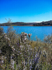 Ruidera Lagoon in the municipality of Ossa de Montiel, Albacete, Spain.