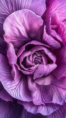 Obraz premium Close-up of Purple Flower Petals: Macro Photography