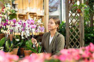 Young woman lovingly selects a flower pot with orchid flowers in a flower shop © JackF