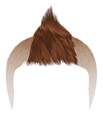 trendy man hairs   . brown
blond color . beauty  style .realistic  3d .Iroquois