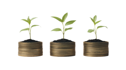 Investment Growth and Financial Success:  A Visual on white and transparent Background Representation of Wealth Building and Prosperity