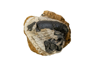 Vivianite is a hydrated iron phosphate mineral