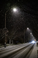 A peaceful snowy night street adorned with beautiful illuminated lamp posts lights the way