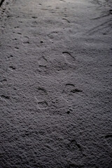 Footprints in the Snow A serene winter scene, highlighting the beauty of winters chill