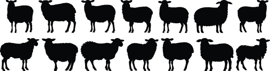 Sheep silhouettes set, farm pack of vector silhouette design, isolated background
