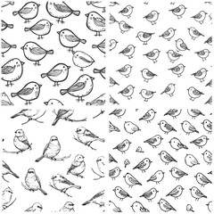 Naklejka premium tiny bird pattern design vector template