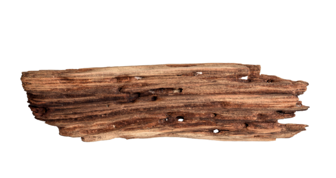 Brown old weathered driftwood plank isolated cutout on transparent