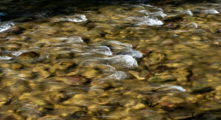 Small Rapids In The Shallow Waters Of Quartz Creek In Glacier
