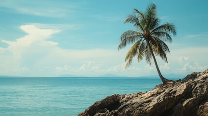 Solitary palm tree on rocky coast, ocean view.