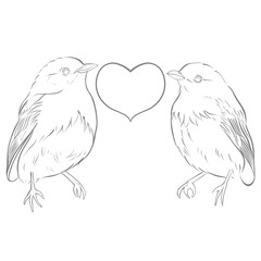 Vector of two birds with heart shape, Valentine's Day for lover