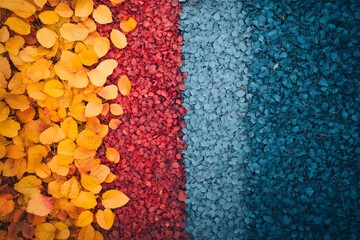 Autumn Leaves: Yellow, Red, Blue Hues