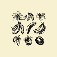 Banana hand drawn engraving design vector template