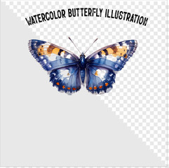Colorful watercolor butterfly vector illustration. Colorful watercolor butterfly vector. 