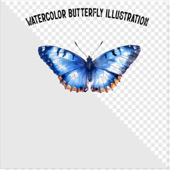 Colorful watercolor butterfly vector illustration. Colorful watercolor butterfly vector. 