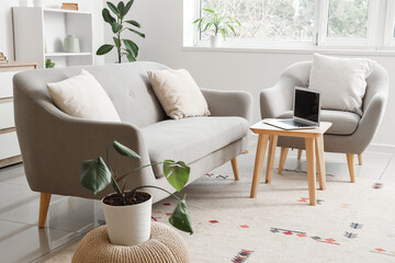 Interior of light living room with sofa, armchair and laptop on coffee table