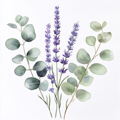 Watercolor Lavender and Eucalyptus Illustration