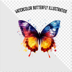 Colorful watercolor butterfly vector illustration. Colorful watercolor butterfly vector. 