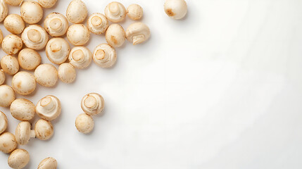 Mushroom frame on a white background