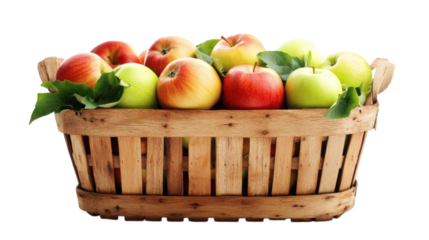 Wooden basket filled with fresh apples isolated on white background