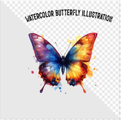 Colorful watercolor butterfly vector illustration. Colorful watercolor butterfly vector. 