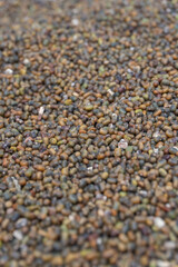 Heap of Mixed Organic Seeds