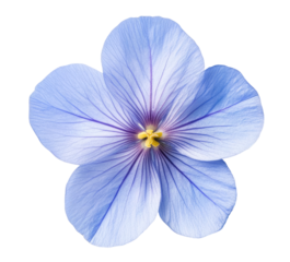 Blue flax flower isolated on transparent background