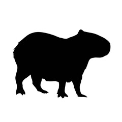 Silhouette image of capybara isolated on white background 