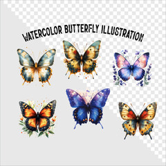 Colorful watercolor butterfly vector illustration. Colorful watercolor butterfly vector. 