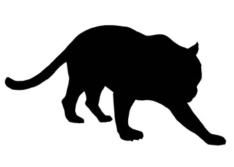 Silhouette image of jaguar isolated on white background 