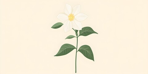Obraz premium Elegant White Flower with Green Leaves