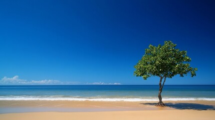 26.A serene landscape photograph capturing a single tree standing gracefully on the edge of a sandy shoreline. The tree's lush green foliage contrasts beautifully with the clear, bright blue sky