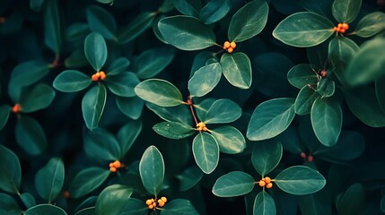 Lush Green Foliage with Orange Buds: A Dark Moody Botanical Image