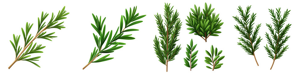 Fototapeta premium Green plant branches on a dark background