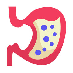 Human Body Parts Anatomy Illustrations