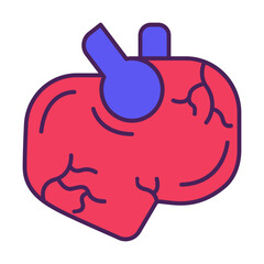 Human Body Parts Anatomy Illustrations