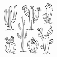 cactus handdrawn