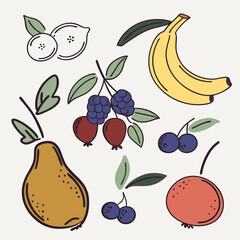 Obraz premium hand drawn fruits