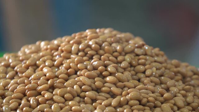 In our country's jang (fermented paste) culture, meju plays a crucial role, and it is made from soybean