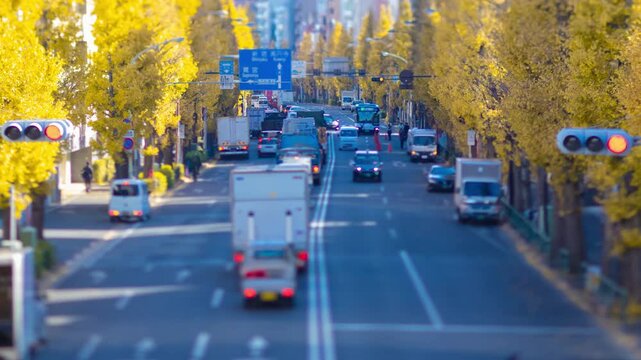A timelapse of miniature traffic jam at street with yellow gingko trees in Tokyo
